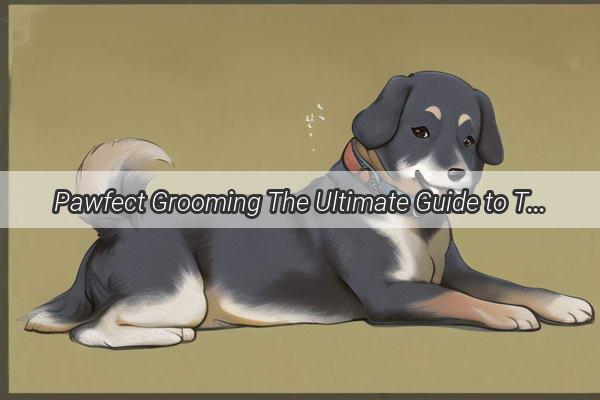 Pawfect Grooming The Ultimate Guide to Trimming Your Dogs Teeth with Scissors